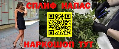 дмт Беслан