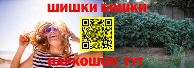 spice Бийск