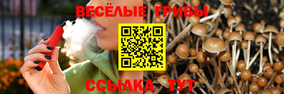 Галлюциногенные грибы Psilocybe  Вход с VPN  Псилоцибиновые грибы Cubensis  Калуга 